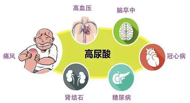 痛风患者严重会并发心肌梗塞?